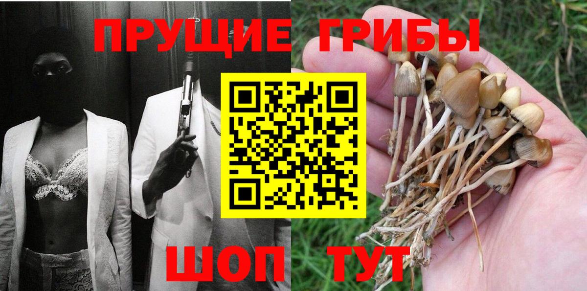 Заречный  Псилоцибиновые грибы Psilocybe  Вход с VPN 