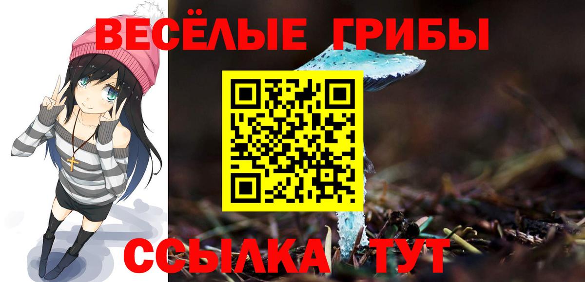 Галлюциногенные грибы MAGIC MUSHROOMS Заречный